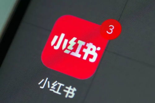 24小時(shí)內(nèi)兩筆投資曝光 小紅書(shū)跨界布局?jǐn)?shù)字文創(chuàng)，是“不務(wù)正業(yè)”還是謀篇“大棋”？